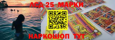 гидропоника Донской