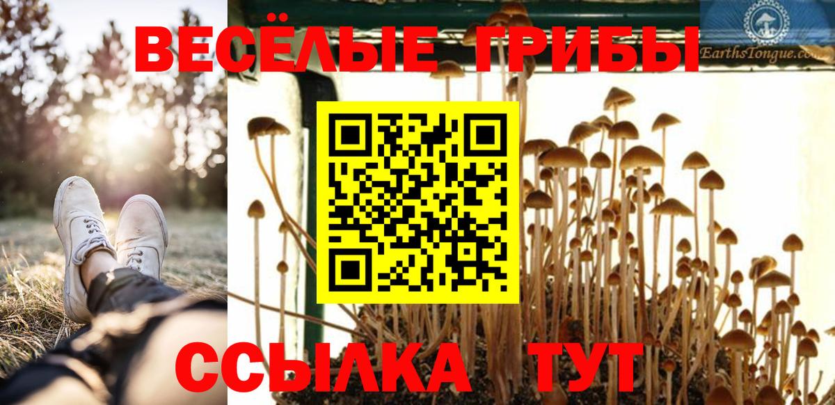 Псилоцибиновые грибы прущие грибы Курчалой