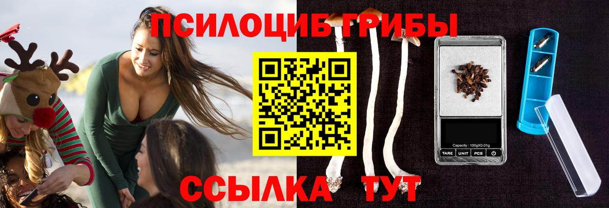 Курчалой  Галлюциногенные грибы GOLDEN TEACHER  Вход с VPN 